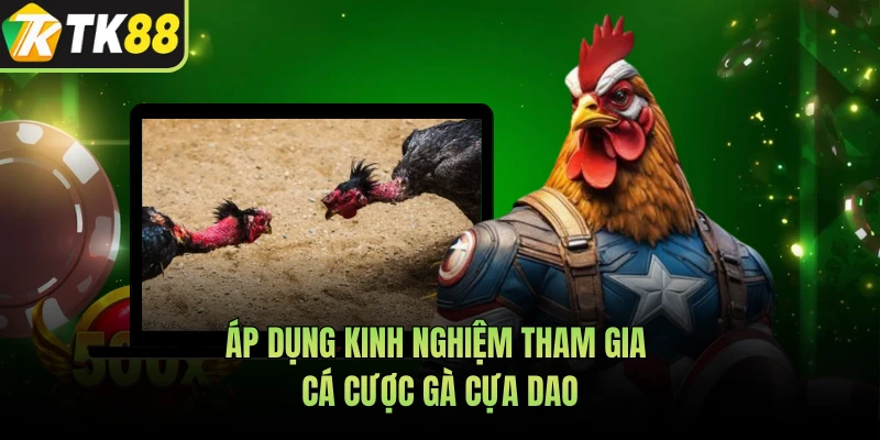 Áp dụng kinh nghiệm tham gia cá cược gà cựa dao