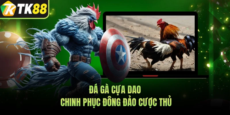 Đá gà cựa dao chinh phục đông đảo cược thủ 