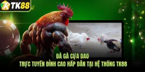 Đá Gà Cựa Dao Trực Tuyến Đỉnh Cao Hấp Dẫn Tại Hệ Thống TK88
