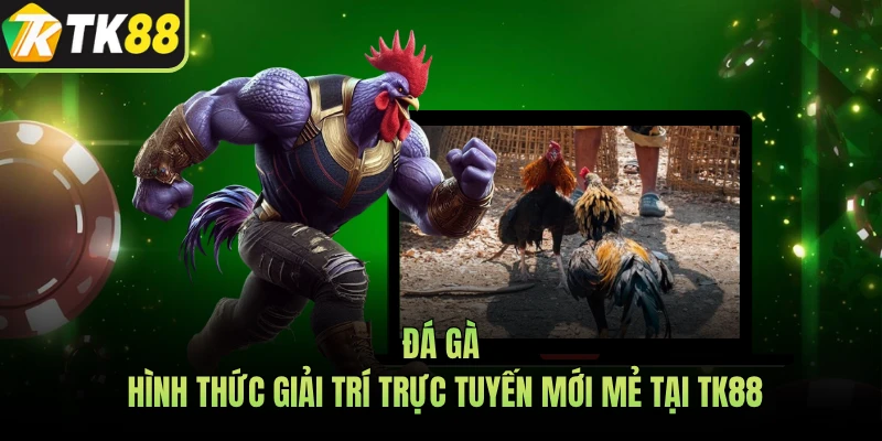 Đá Gà - Hình Thức Giải Trí Trực Tuyến Mới Mẻ Tại TK88