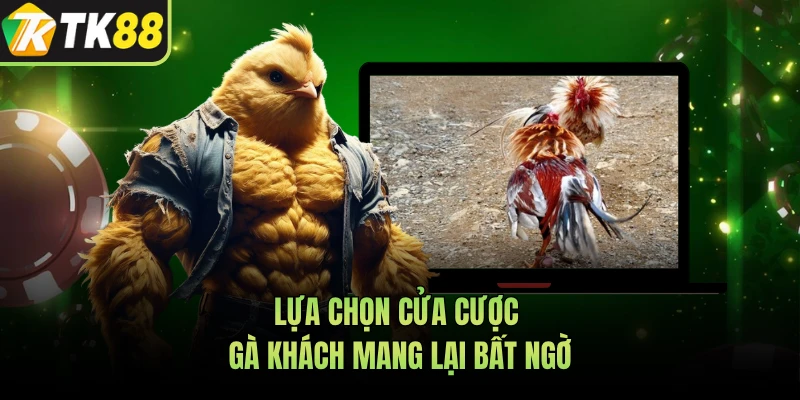 Lựa chọn cửa cược gà khách mang lại bất ngờ