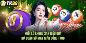 Nuôi Lô Khung 247 Hiệu Quả, Dự Đoán Số May Mắn Cùng TK88