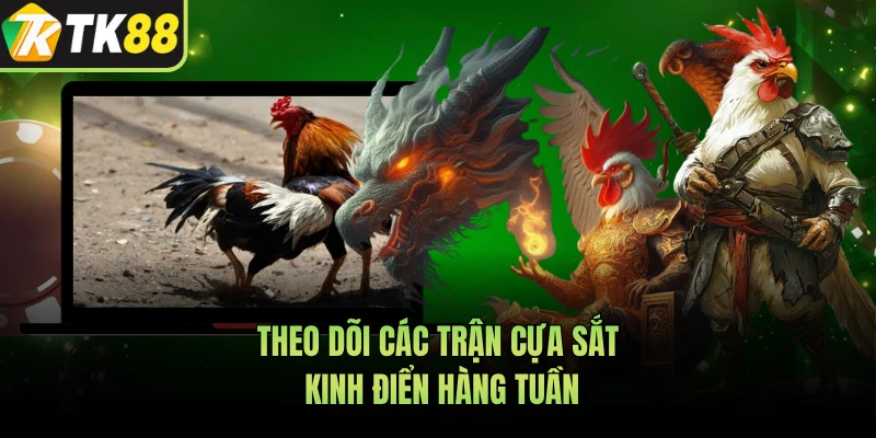 Theo dõi các trận cựa sắt kinh điển hàng tuần